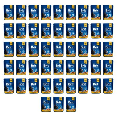 Karma dla kota BRIT Premium Łosoś z pstrągiem 48 x 100 g