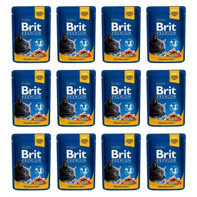 Karma dla kota BRIT Premium Łosoś z pstrągiem 12 x 100 g