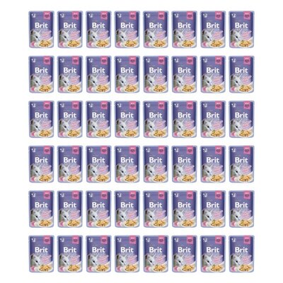 Karma dla kota BRIT Premium Kurczak 48 x 85 g