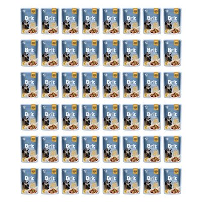 Karma dla kota BRIT Premium Tuńczyk 48 x 85 g