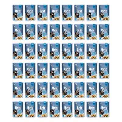 Karma dla kota BRIT Premium Kurczak 48 x 85 g