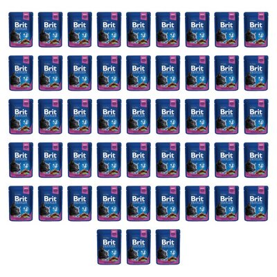 Karma dla kota BRIT Premium Kurczak z indykiem 48 x 100 g