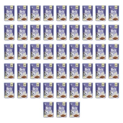 Karma dla kota BRIT Premium Wołowina 48 x 85 g