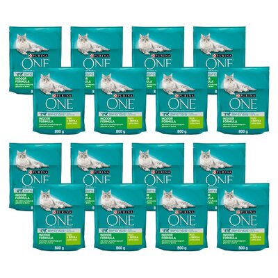 Karma dla kota PURINA ONE Bifensis Indoor Indyk 16 x 800 g