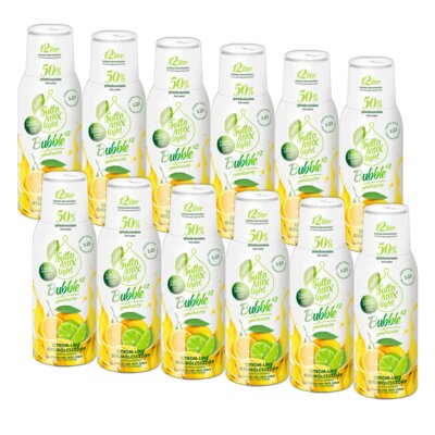 Syrop do saturatorów FRUTTAMAX Light Cytryna-limonka 12 x 500 ml bez cukru