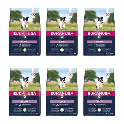 Karma dla psa EUKANUBA Puppy Small & Medium Breeds Jagnięcina z ryżem 6 x 2.5 kg