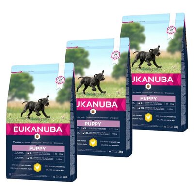Karma dla psa EUKANUBA Puppy Large Breeds Kurczak 3 x 3 kg