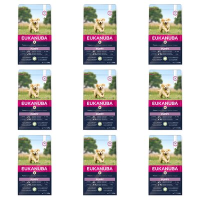 Karma dla psa EUKANUBA Puppy Large Breeds Jagnięcina z ryżem 9 x 2.5 kg