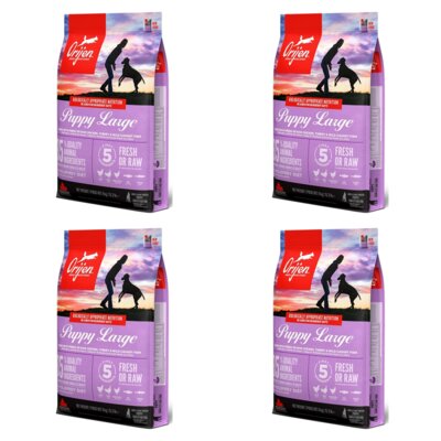 Karma dla psa ORIJEN Puppy Large Kurczak z indykiem i rybami 4 x 6 kg