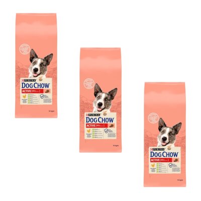 Karma dla psa PURINA Dog Chow Active z Kurczakiem 3 x 14 kg
