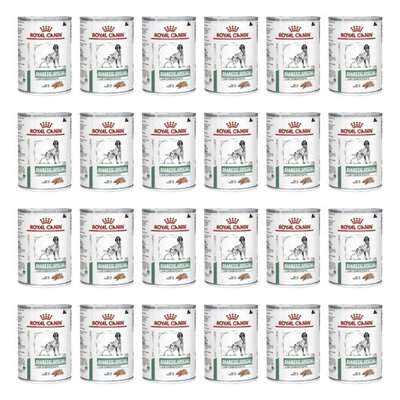 Karma dla psa ROYAL CANIN Diabetic Special Low Carbohydrate 24 x 410 g