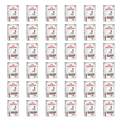 Karma dla psa ROYAL CANIN Gastrointestinal 36 x 400 g