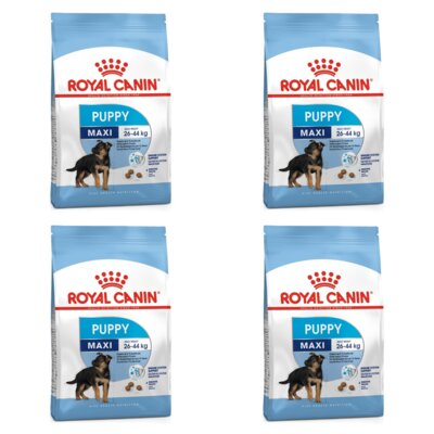 Karma dla psa ROYAL CANIN SHN Maxi Puppy Drób 4 x 15 kg
