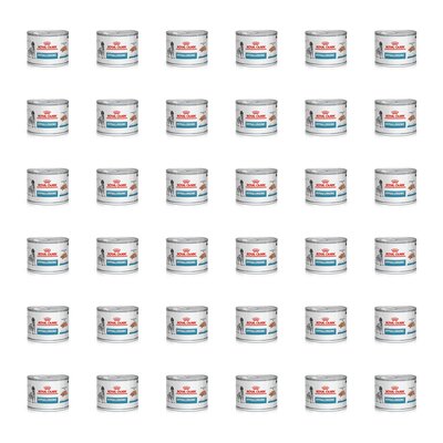 Karma dla psa ROYAL CANIN Hypoallergenic 36 x 200 g