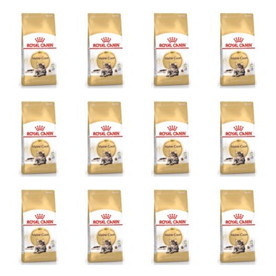 Karma dla kota ROYAL CANIN Maine Coon 12 x 400 g