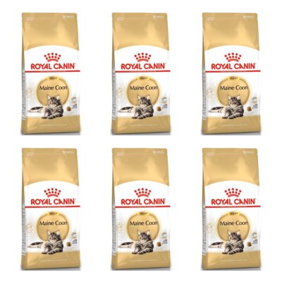 Karma dla kota ROYAL CANIN Adult Maine Coon 6 x 2 kg