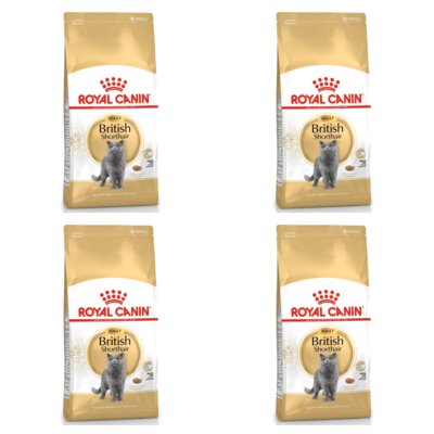 Karma dla kota ROYAL CANIN British Shorthair 4 x 4 kg
