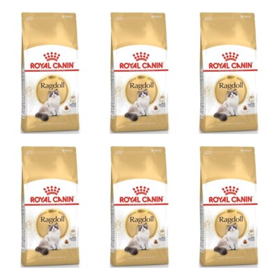 Karma dla kota ROYAL CANIN Ragdoll Adult Kurczak 6 x 2 kg