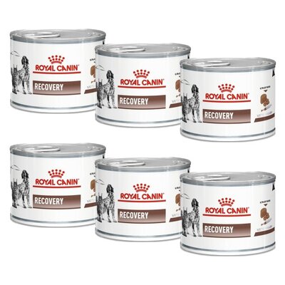 Karma dla psów i kotów ROYAL CANIN Recovery 6 x 195 g