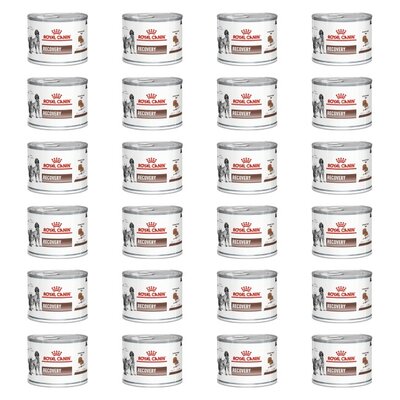 Karma dla psów i kotów ROYAL CANIN Recovery 24 x 195 g