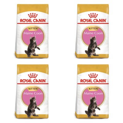Karma dla kota ROYAL CANIN Maine Coon Kitten 4 x 10 kg