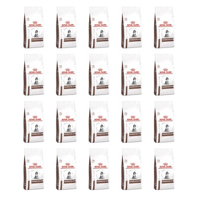 Karma dla psa ROYAL CANIN Gastrointestinal Puppy Dog Dry 20 x 1kg