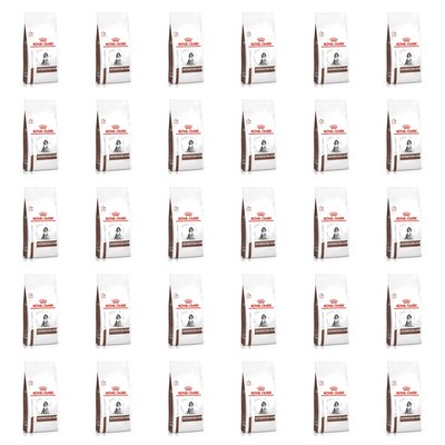 Karma dla psa ROYAL CANIN VHN Dog Gastrointestinal Puppy 30 x 1 kg