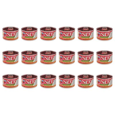 Karma dla psa FARMINA N&D Quinoa Skóra i Sierść Śledź i Kokos 18 x 140 g