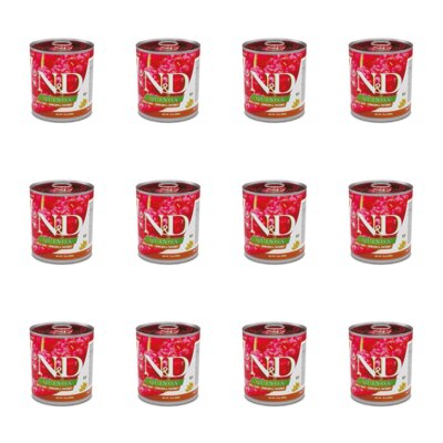 Karma dla psa FARMINA N&D Quinoa Jeleń z kokosem 12 x 285 g