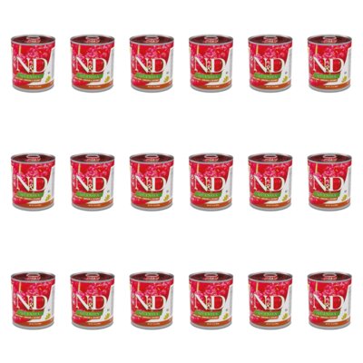 Karma dla psa FARMINA N&D Quinoa Jeleń z kokosem 18 x 285 g