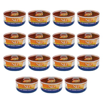 Karma dla kota FARMINA N&D Jagnięcina z dynią i borówkami 15 x 70 g