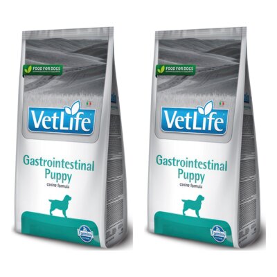 Karma dla psa FARMINA Vet Life Gastrointestinal Puppy 2 x 12 kg