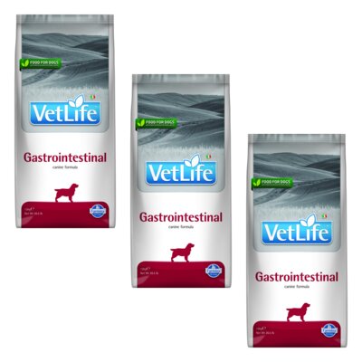 Karma dla psa FARMINA Vet Life Gastrointestinal 3 x 12 kg