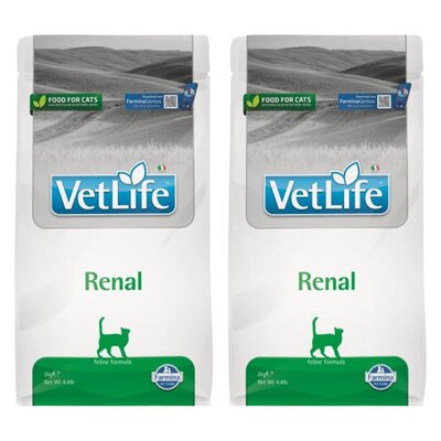 Karma dla kota FARMINA Vet Life Renal 2 x 2 kg