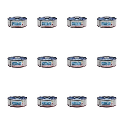Karma dla kota FARMINA VetLife Gastrointestinal Feline 12 x 85 g