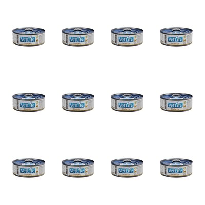 Karma dla kota FARMINA VetLife Diabetic Feline 12 x 85 g
