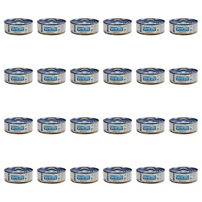 Karma dla kota FARMINA VetLife Diabetic Feline 24 x 85 g