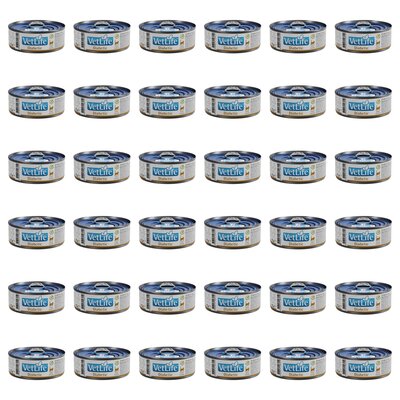 Karma dla kota FARMINA VetLife Diabetic Feline 36 x 85 g