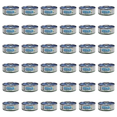 Karma dla kota FARMINA VetLife Obesity Feline 36 x 85 g