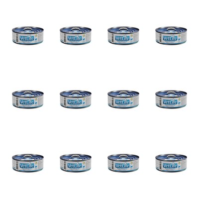 Karma dla kota FARMINA VetLife Hypoallergenic Pork & Potato 12 x 85 g