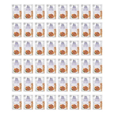 Karma dla kota BRIT Care z łososiem w galarecie 48 x 85 g