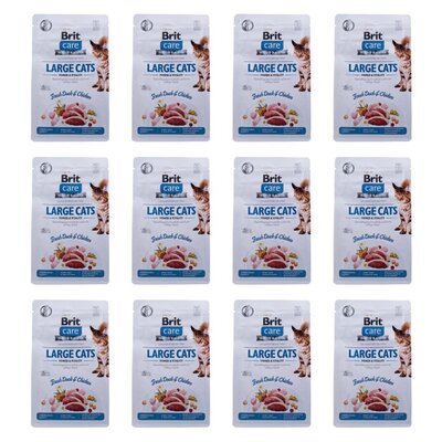 Karma dla kota BRIT Care Large Cats Power and Vitality Świeża Kaczka i Kurczak 12 x 400 g
