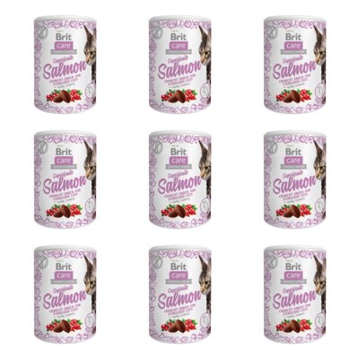 Przysmak dla kota BRIT CARE Snack Superfruits Salmon 9 x 100 g