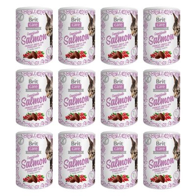 Przysmak dla kota BRIT CARE Snack Superfruits Salmon 12 x 100 g