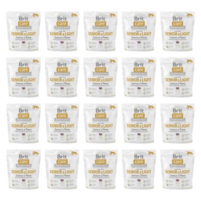 Karma dla psa BRIT CARE Dog Grain-Free Senior & Light Łosoś i ziemniak 20 x 1 kg