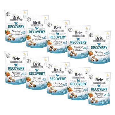 Przysmak dla psa BRIT CARE Dog Recovery Herring 10 x 150 g