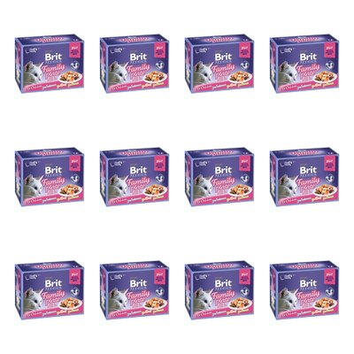 Karma dla kota BRIT Pouch Jelly Fillet Family Plate Mix smaków (144 x 85 g)