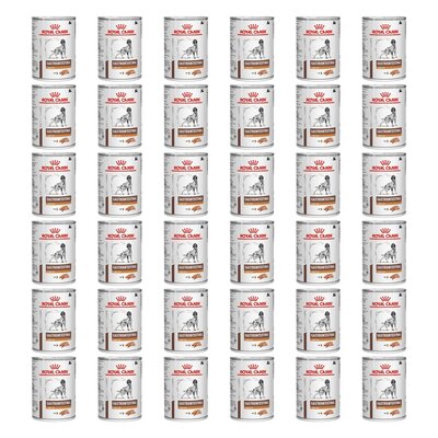 Karma dla psa ROYAL CANIN Gastrointestinal Low Fat 36 x 420 g