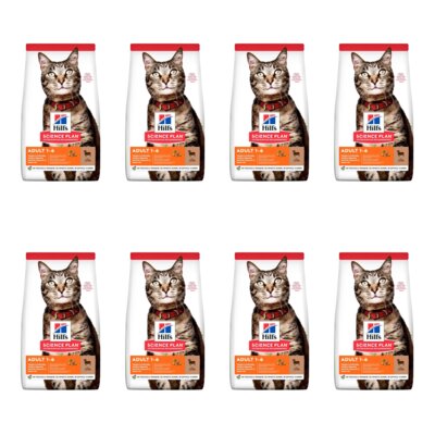 Karma dla kota HILL'S Science Plan Adult Jagnięcina 8 x 3 kg