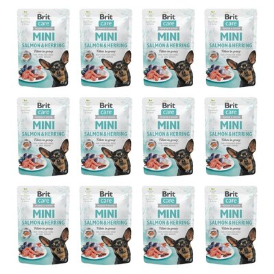 Karma dla kota PURINA PRO PLAN Healthy Start Kitten Kurczak 12 x 1.5 kg